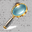 search